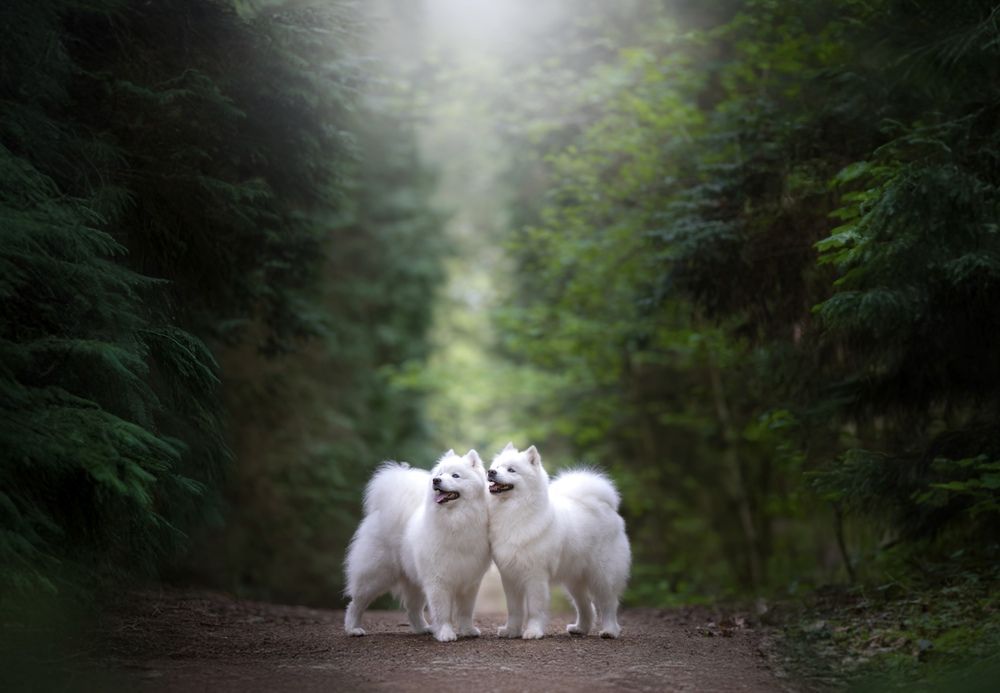 Photograph by Shanna van Mens