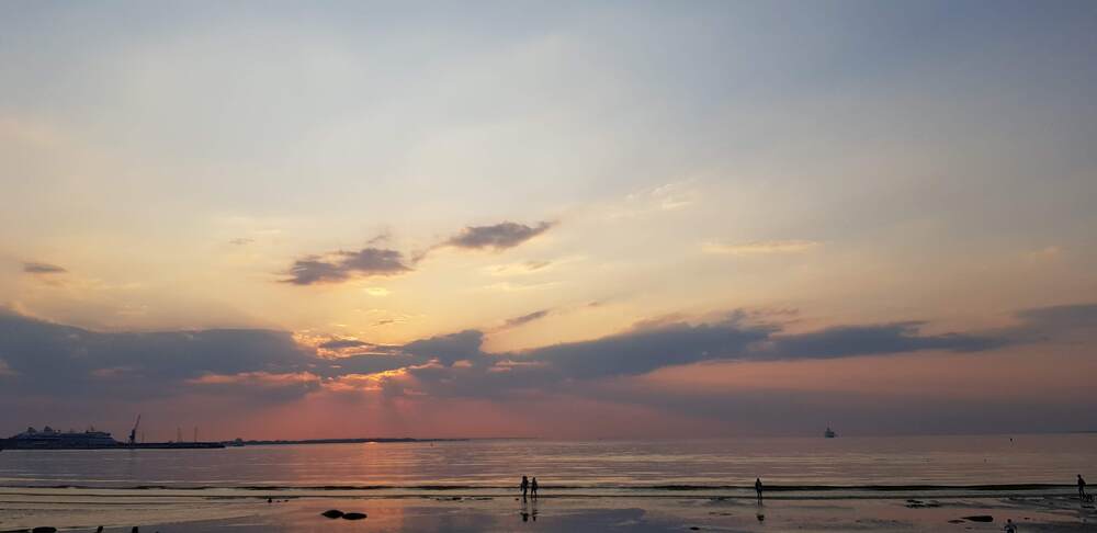 Photograph by Edmund Randal