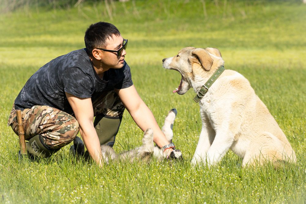 Photograph by Виктор Владимиров