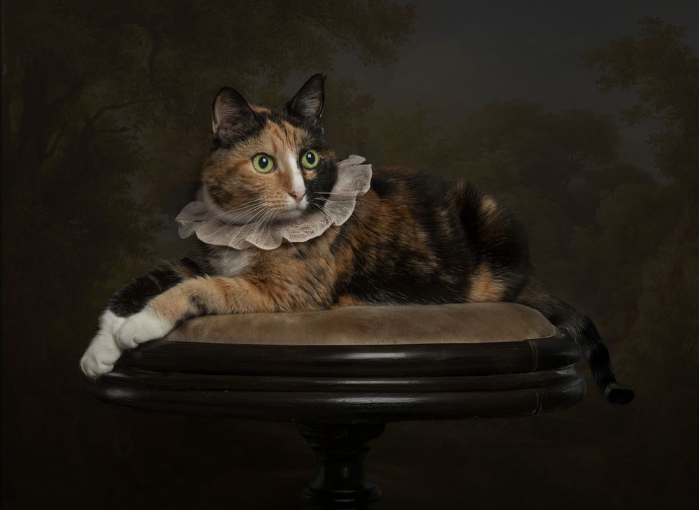 Photograph by Туева Наталья