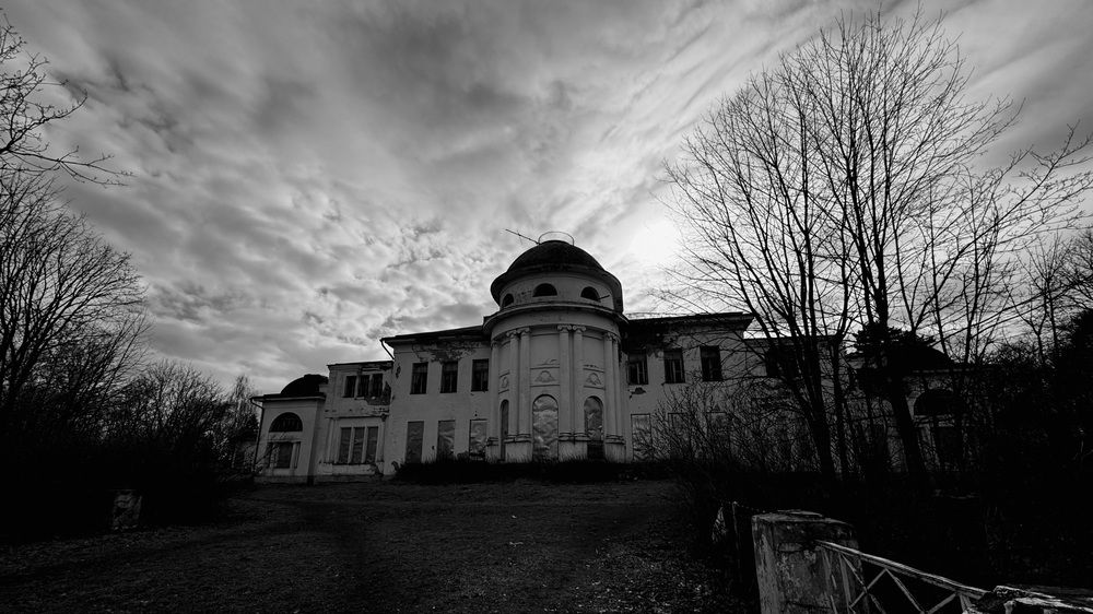 Photograph by Светлана Родионова