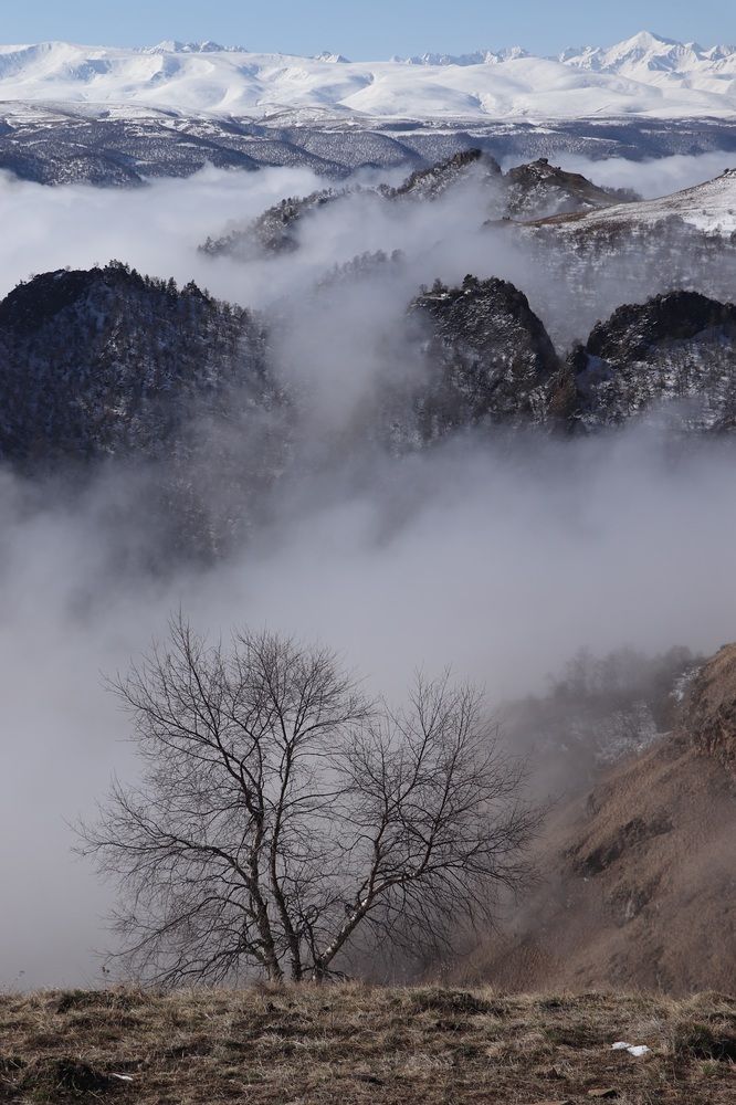 Photograph by Анна Бабкина