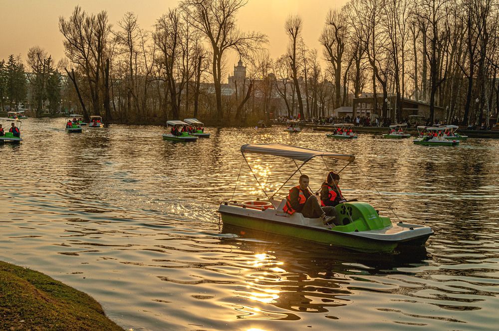 Photograph by Vladimir  Komarov