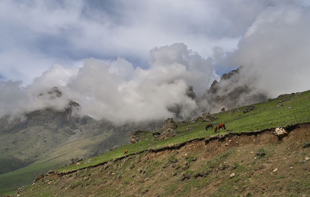 Photograph by Inna Ivanova