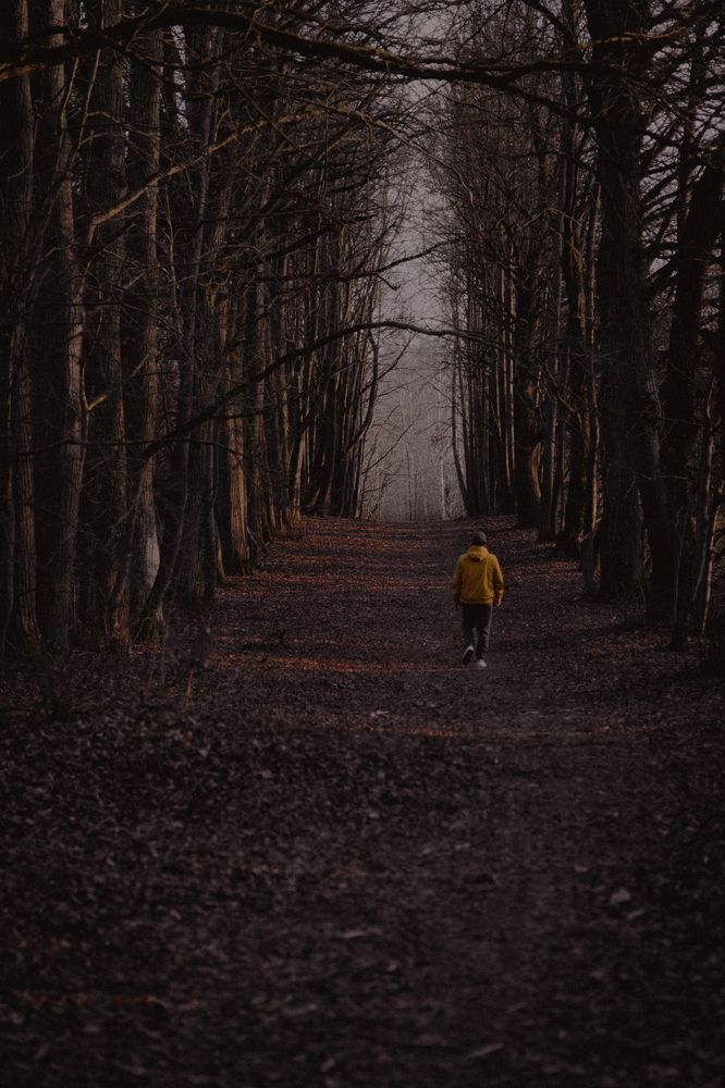 Photograph by Алена Чёрная