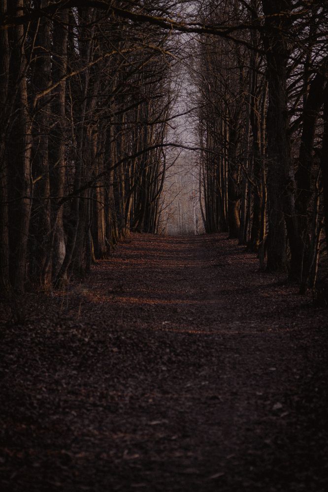 Photograph by Алена Чёрная