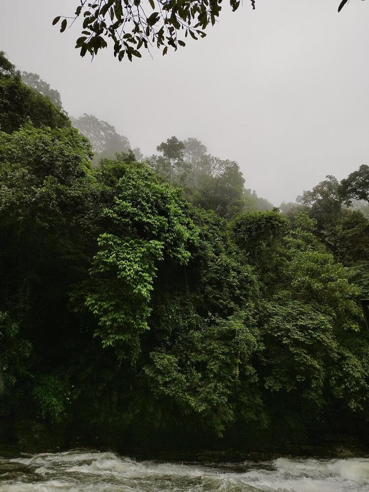 Verdant Whispers of Meghalaya