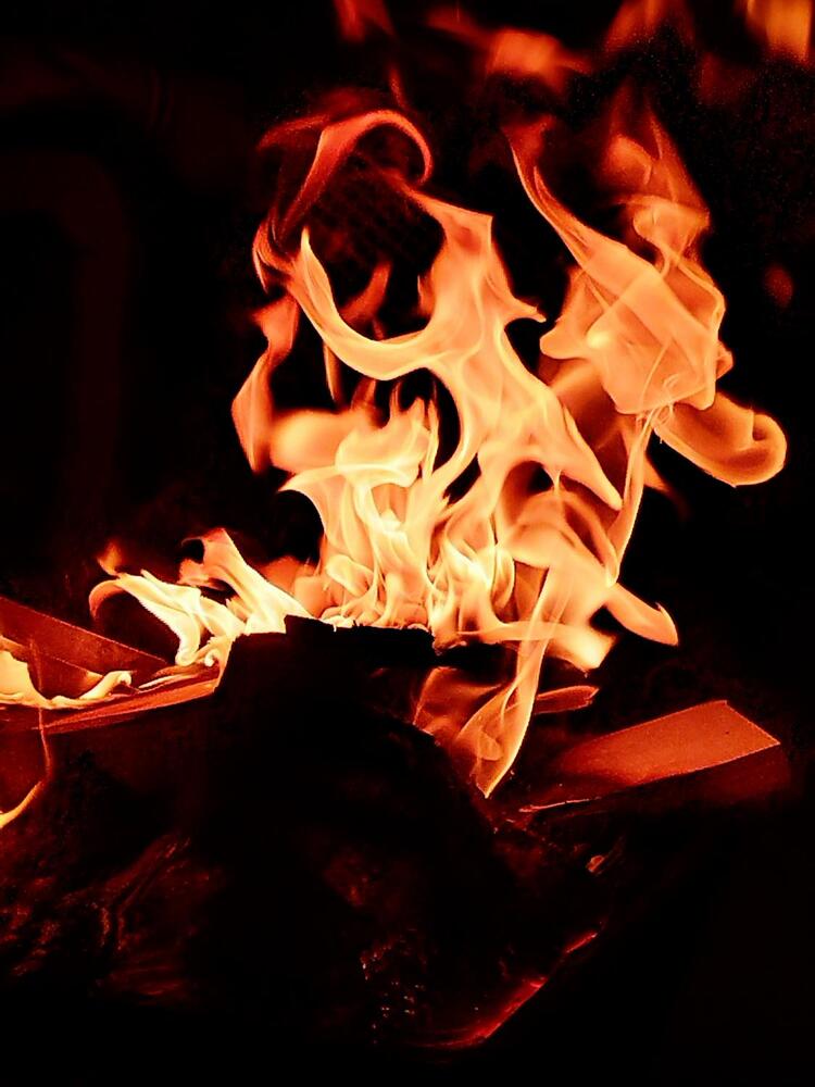 Flames in Motion