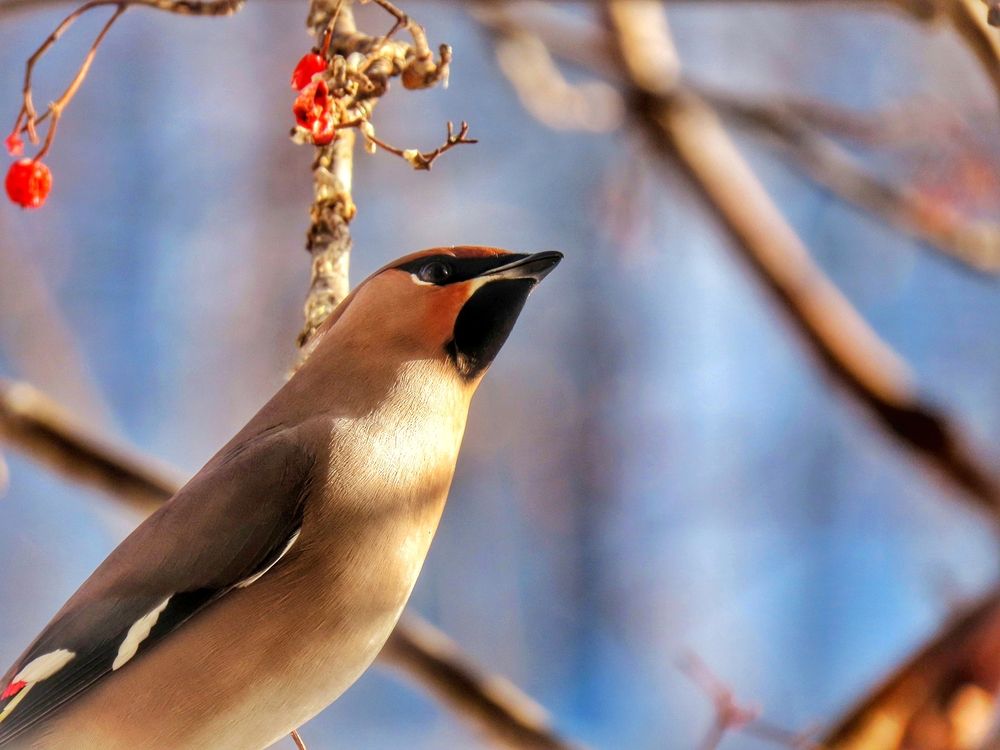 Photograph by Екатерина Солохина