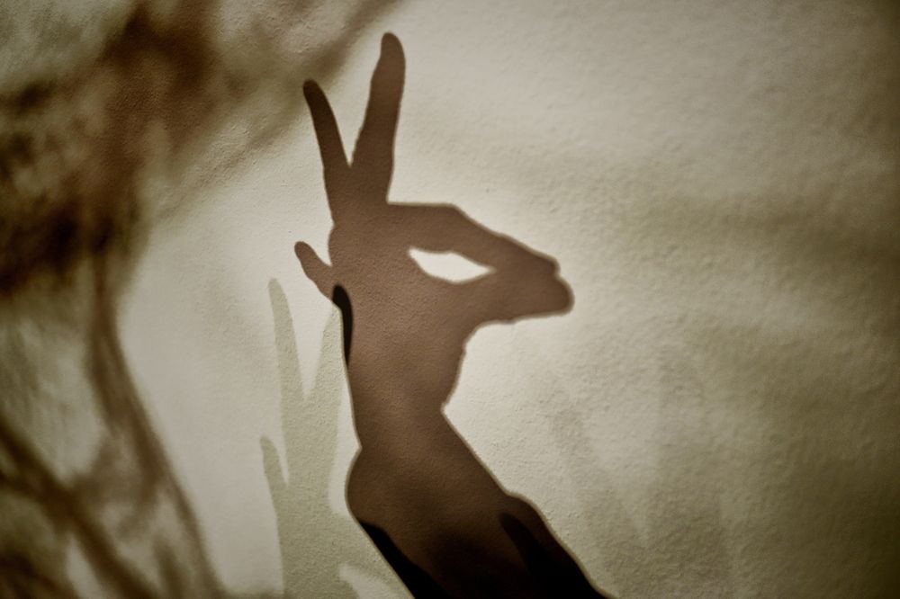 Photograph by Yana Egorova