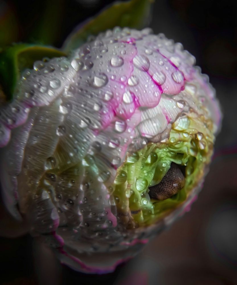 Photograph by Алексей Копылов