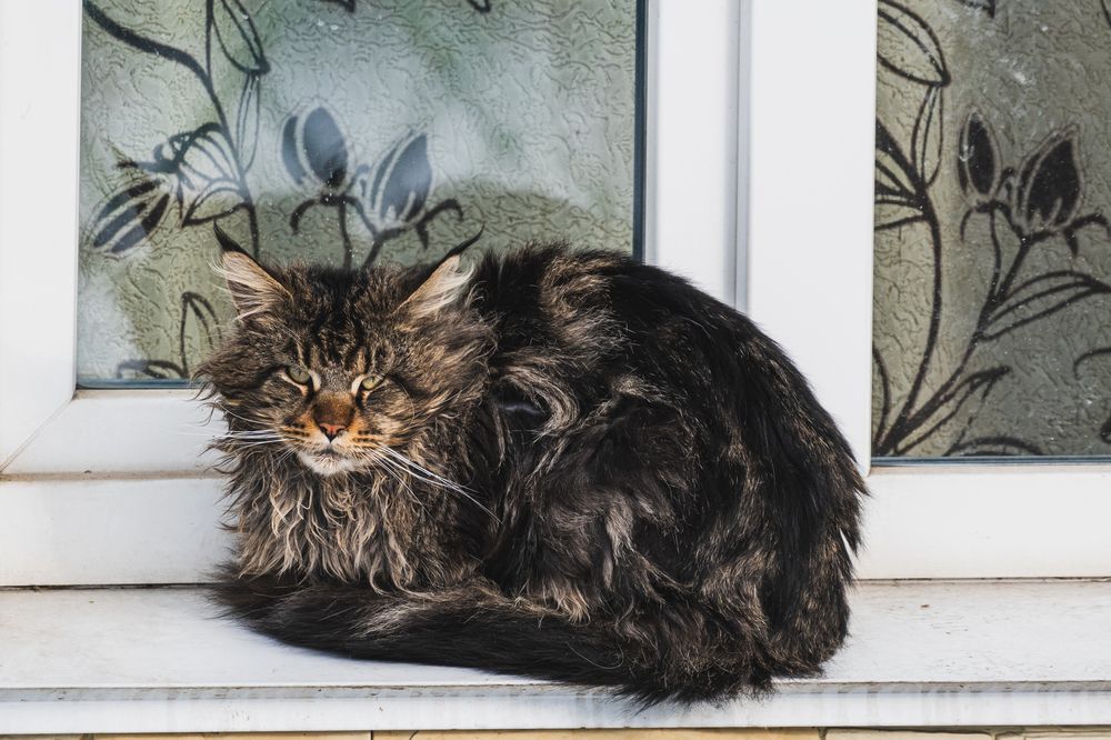 Photograph by Андрей Бородкин