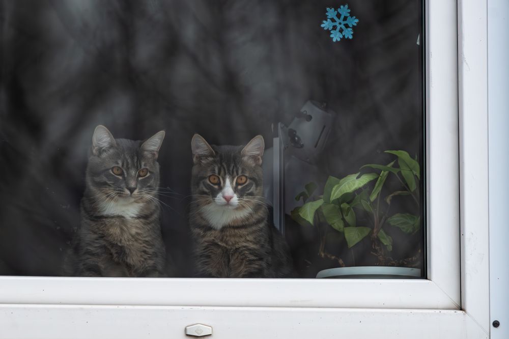 Photograph by Андрей Бородкин