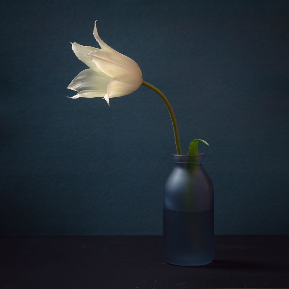 Photograph by Сергей Алексеев