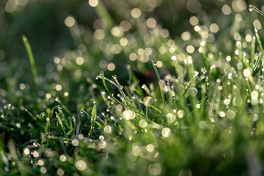 Photograph by Людмила Завьялова