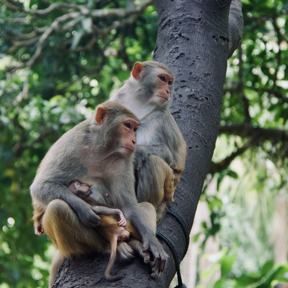 Photograph by Олег Банковский