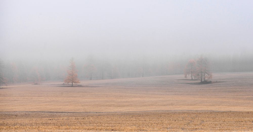 Photograph by Кузнецов Андрей