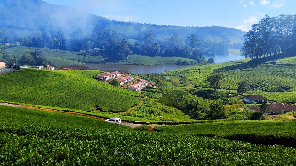 Фотография автора Captured Chronicles