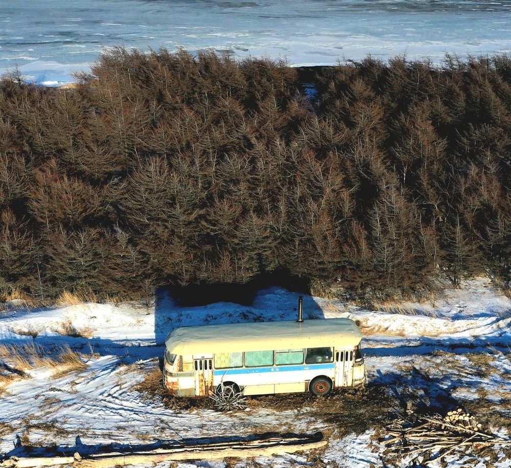 Photograph by Лариса Ким