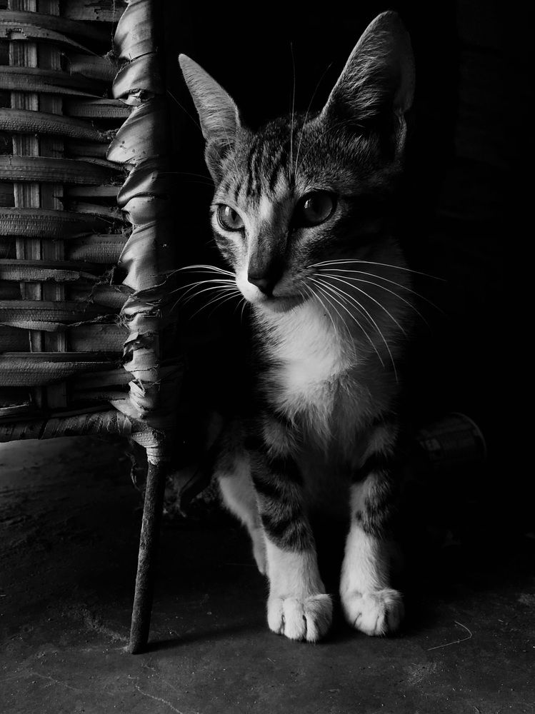Photograph by Gnagna Guèye