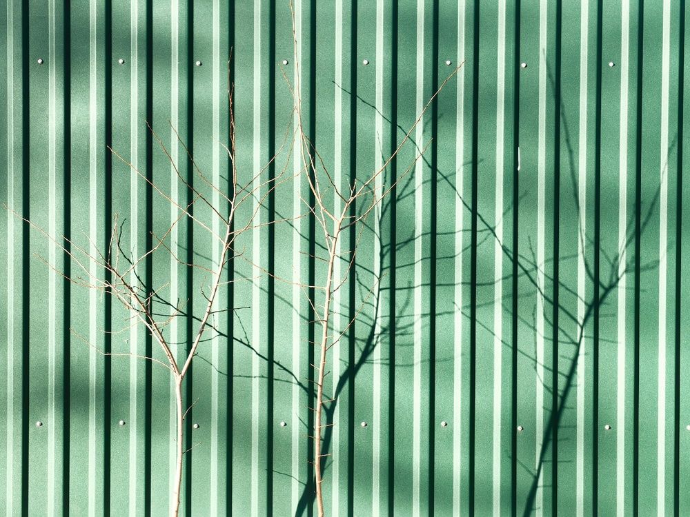 Photograph by Натали Захарова (Тай)