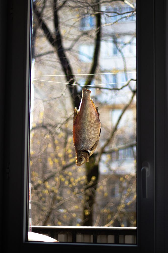 Photograph by Роман Якута