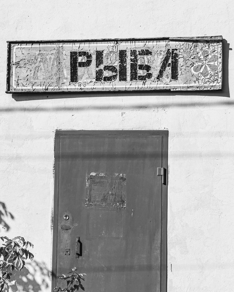 Photograph by Быстров Алексей