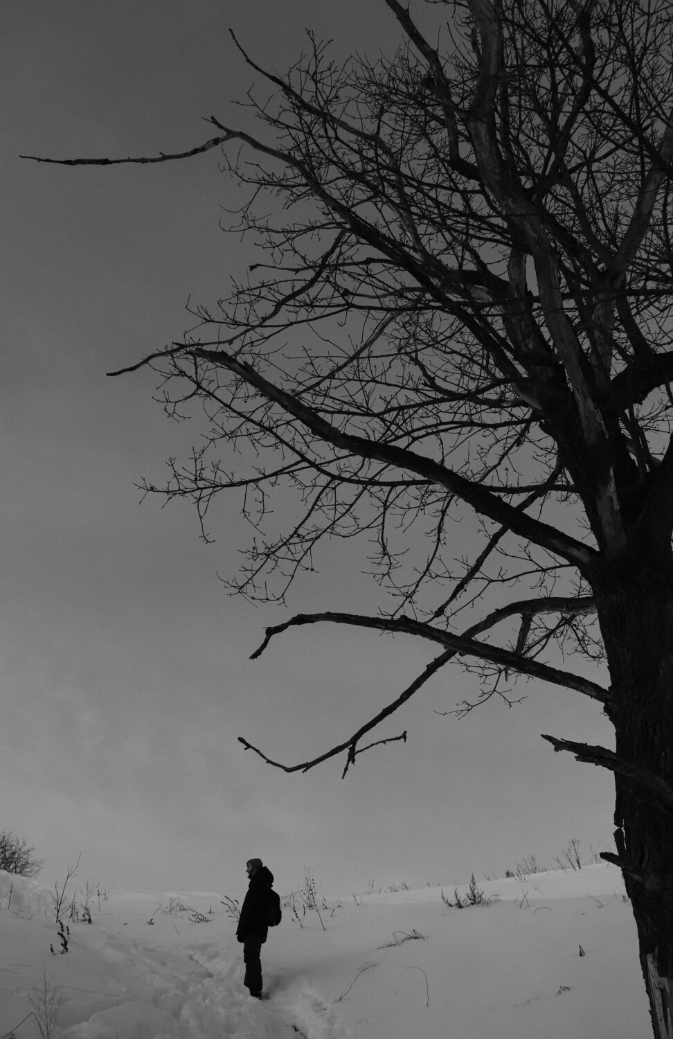 Photo #12142580