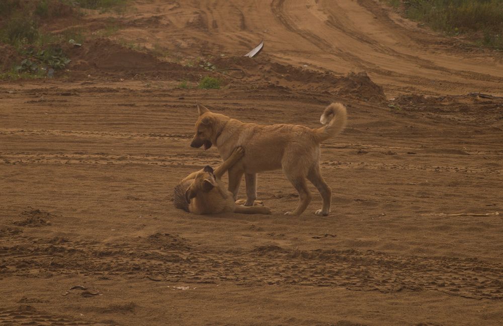 Photo #12142602