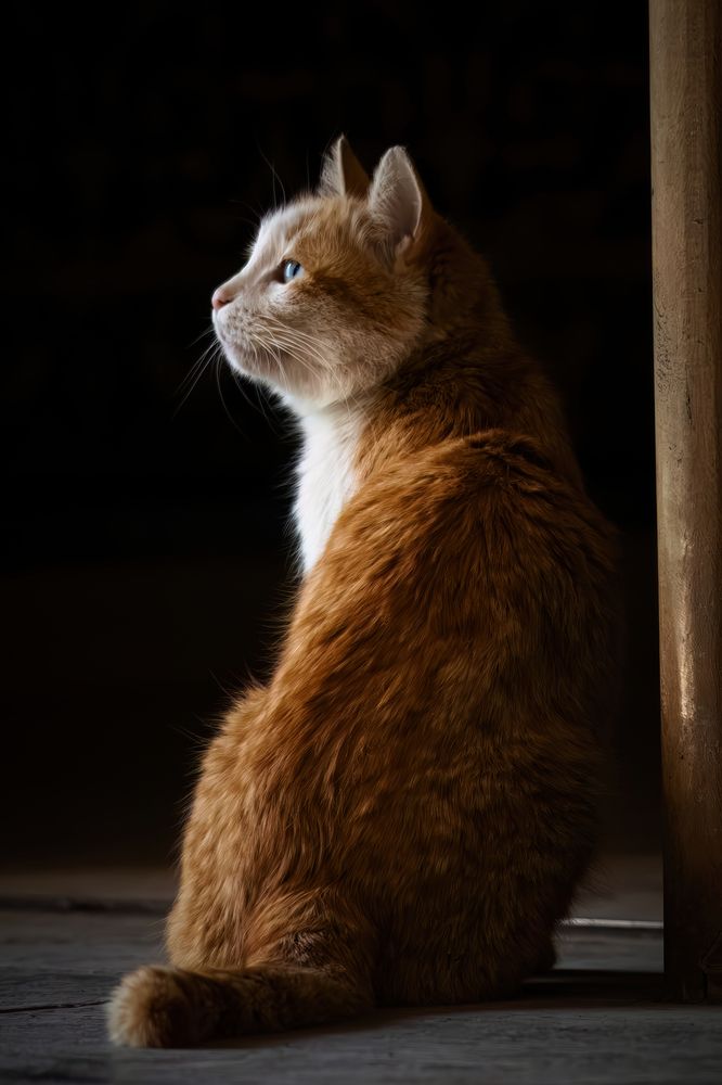 Photograph by Mahdi Reihani Bozorg