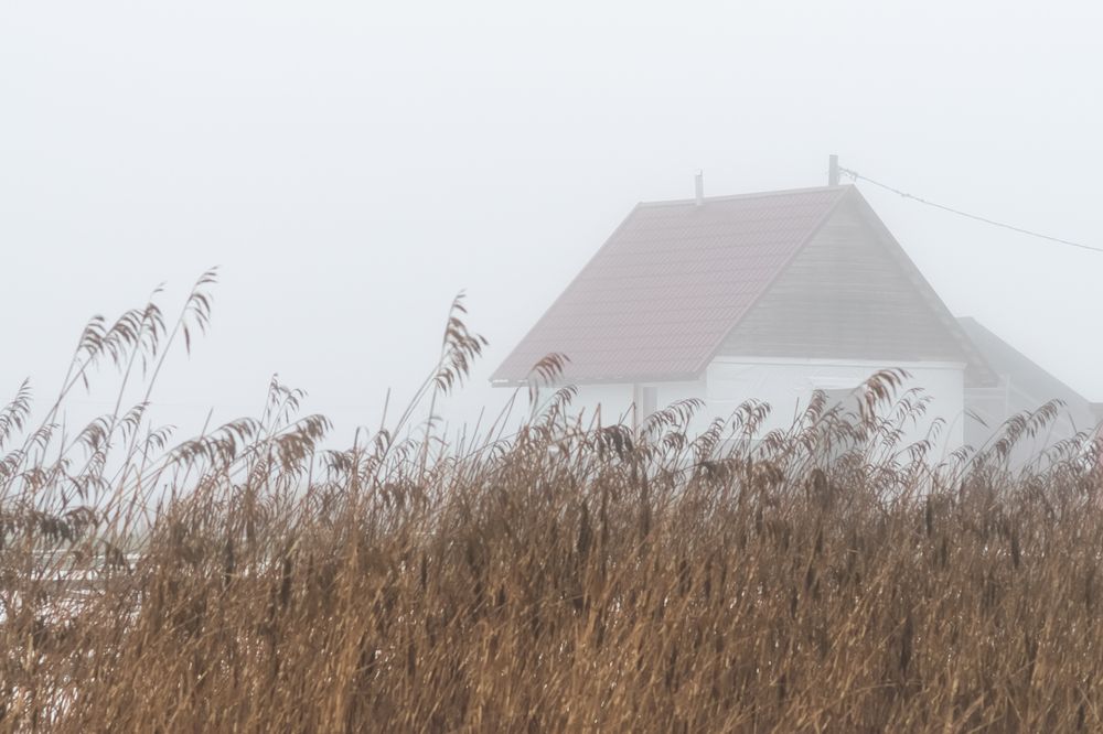 Photograph by Елена Амозова