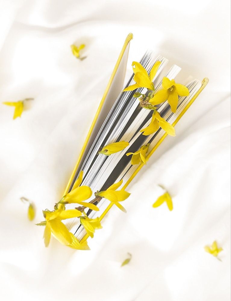 Photograph by Елена Громова