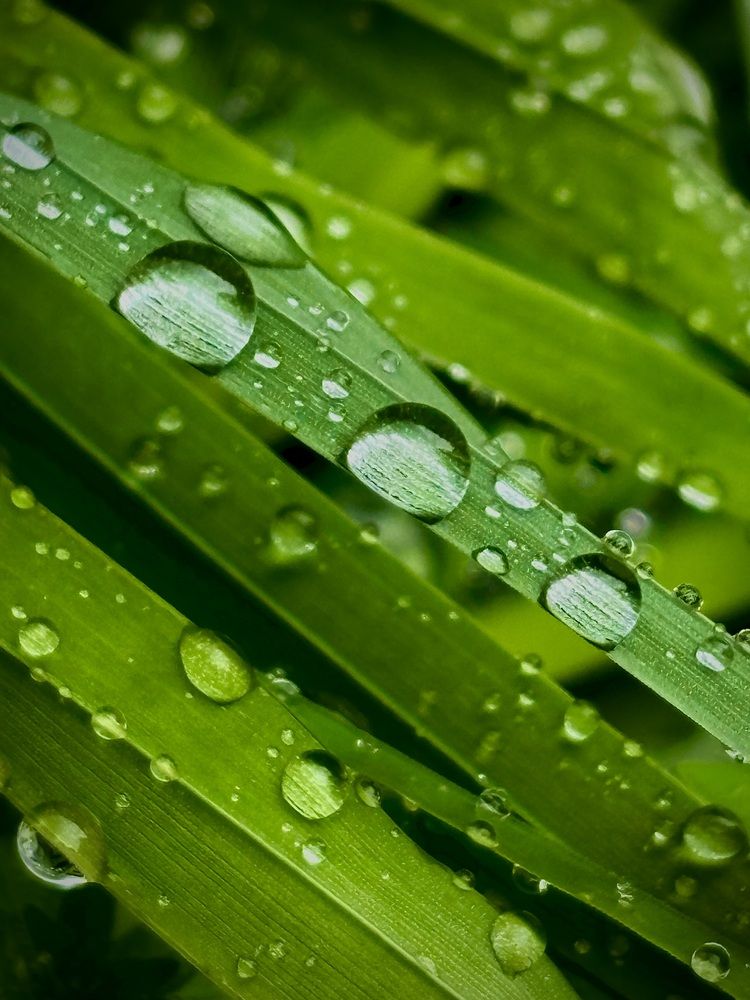 Photograph by Елена Громова