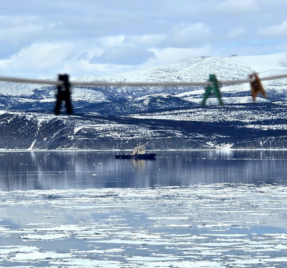 Photograph by Лариса Ким