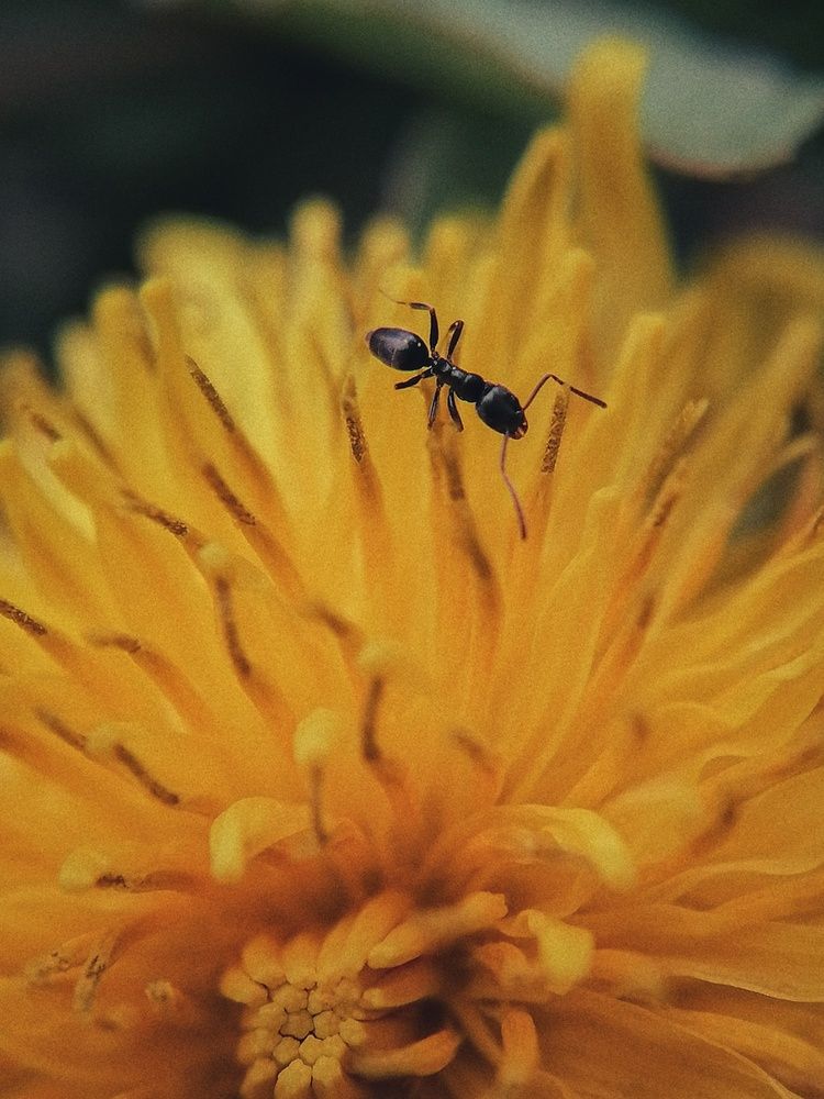 Photograph by Наталия Соболева