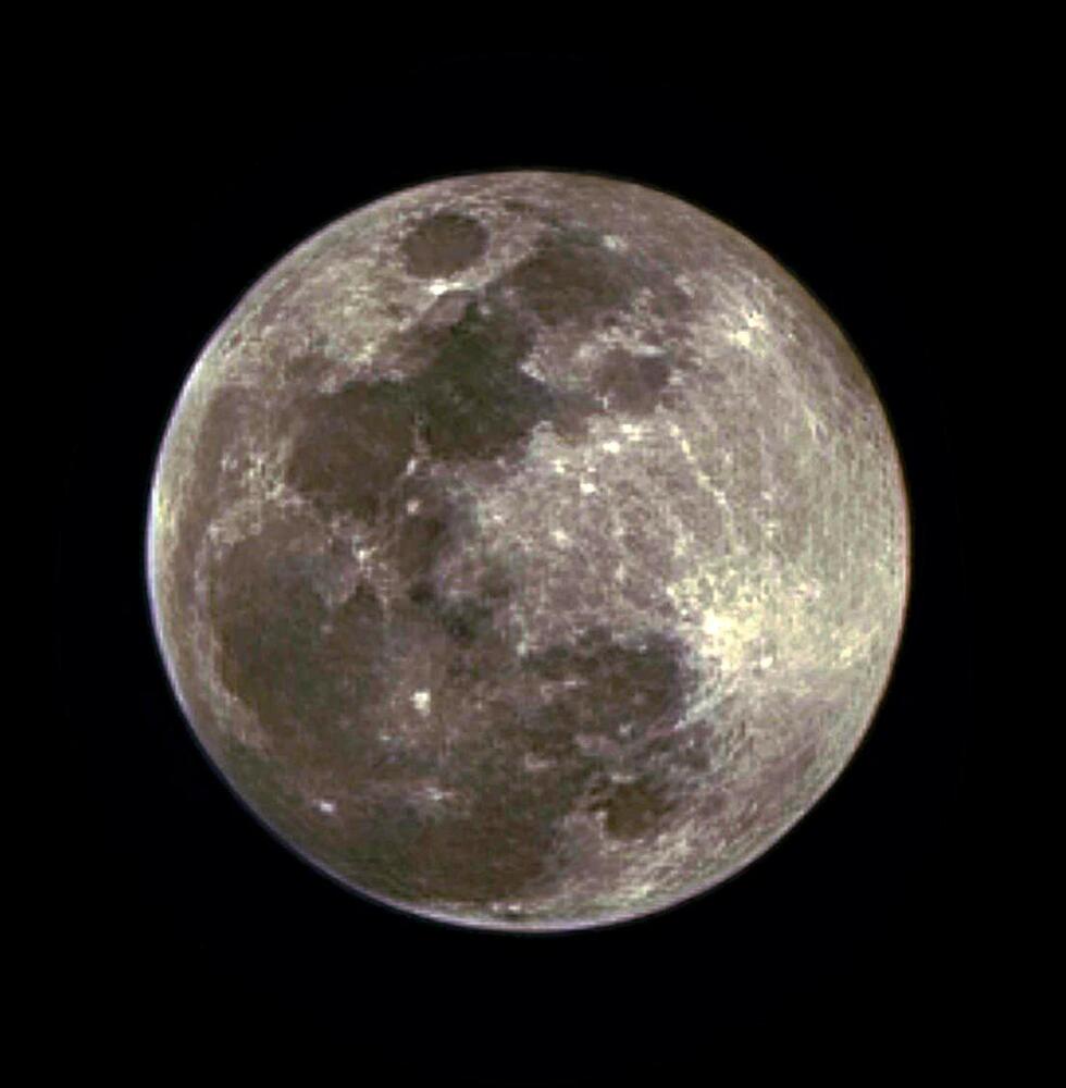 Selene In Focus