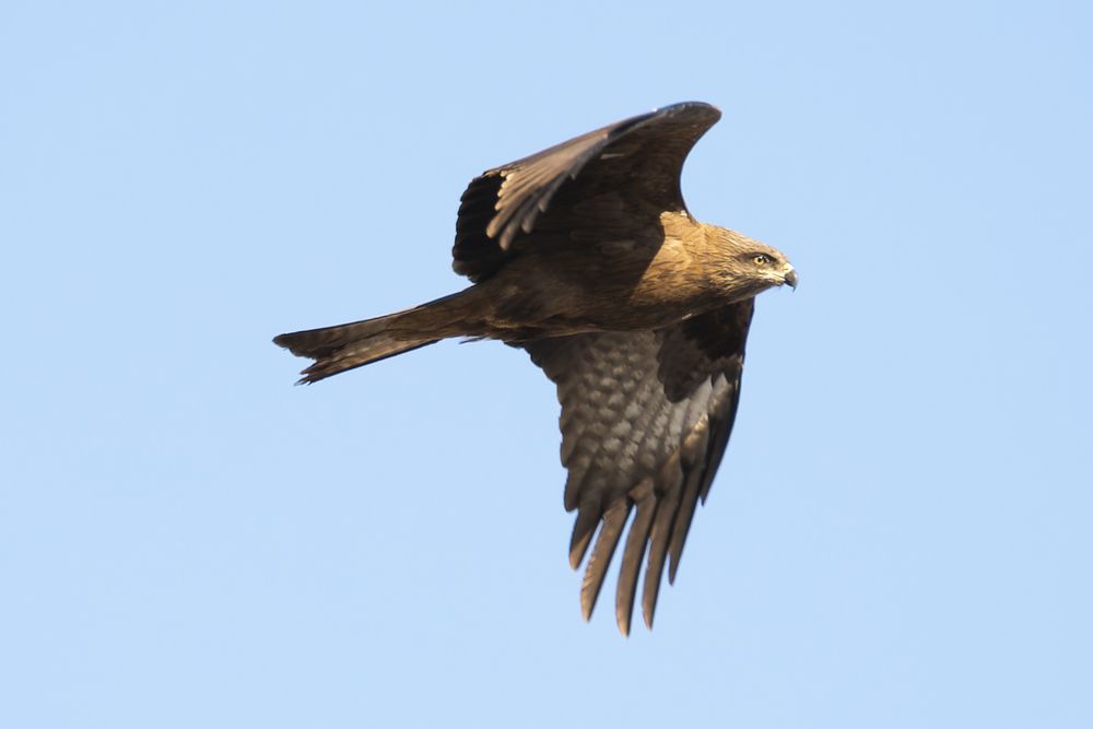 Photograph by Кочергин Егор