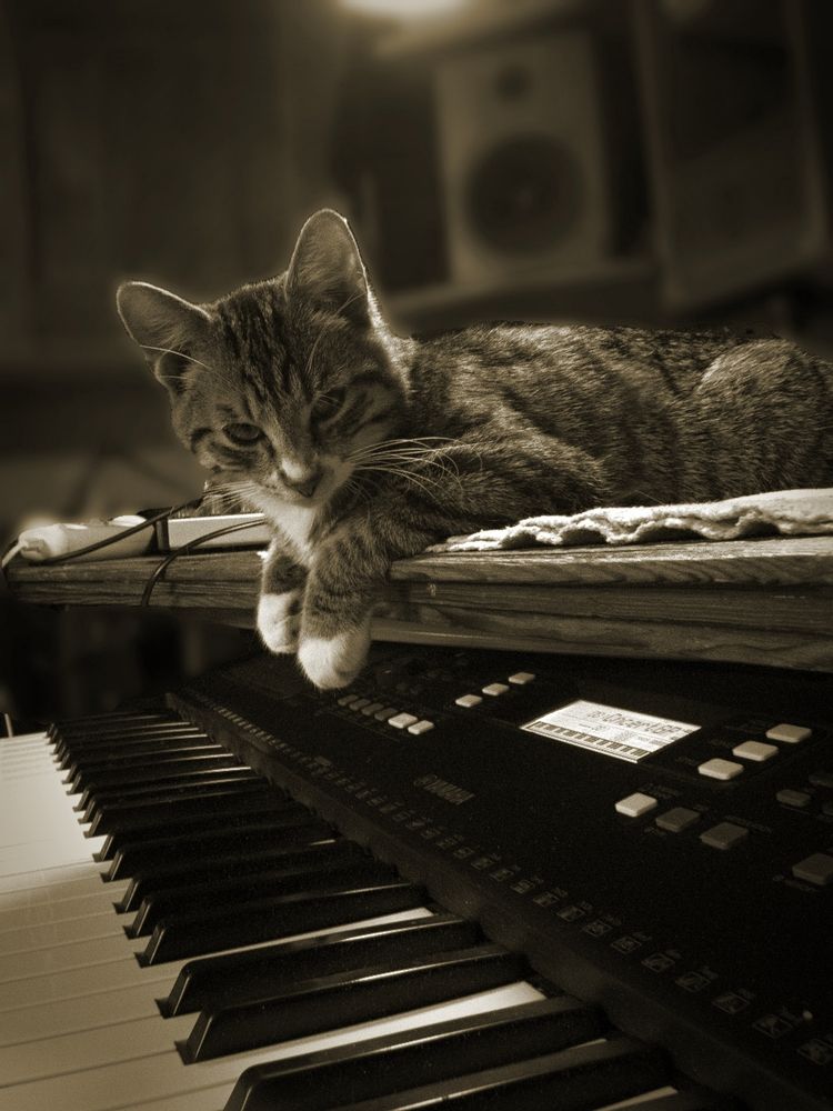 Василий (Vasiliy)