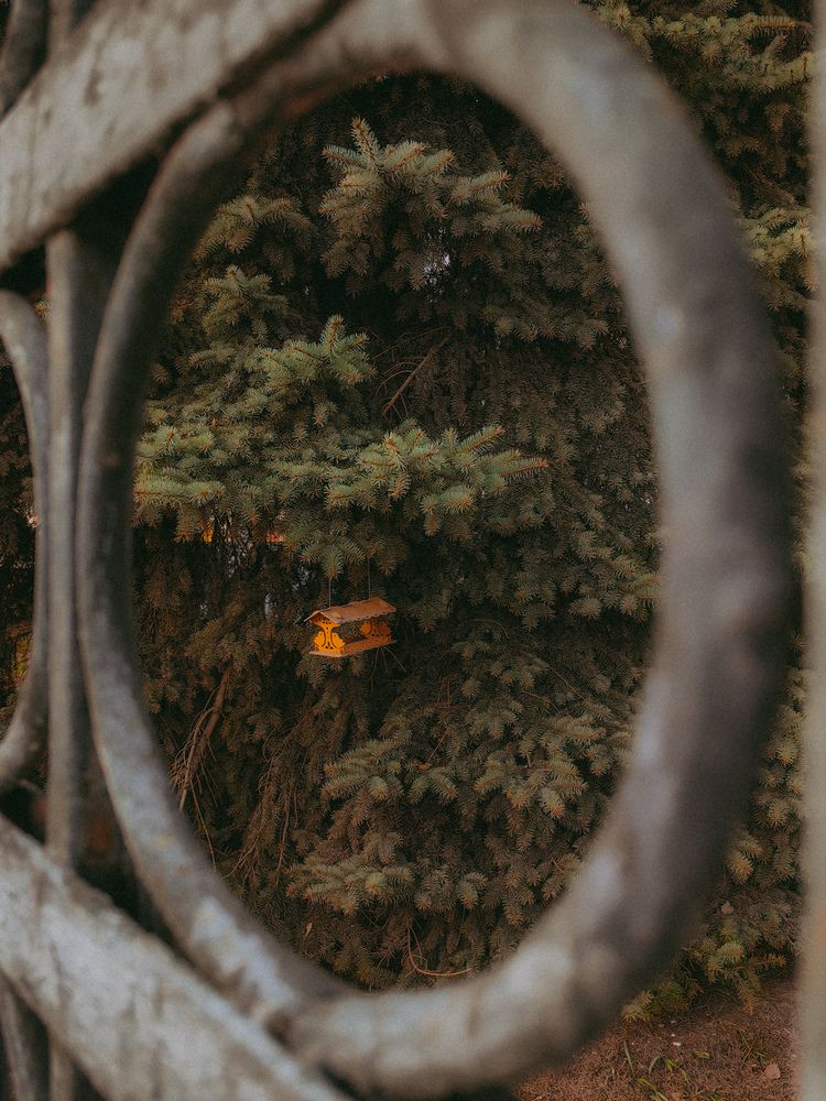 Photograph by Ольга Карева