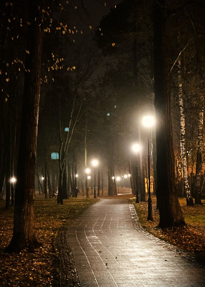 Фотография автора Сергей Демидов