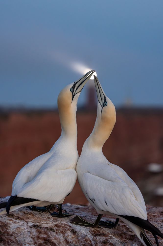 Фотография автора Abhishek