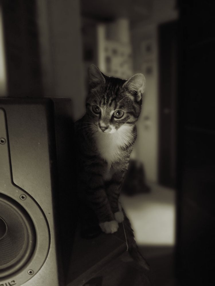 Василий Васильевич (Vasily Vasilyevich)