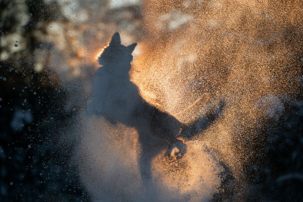 Photograph by Mighty Obscurant