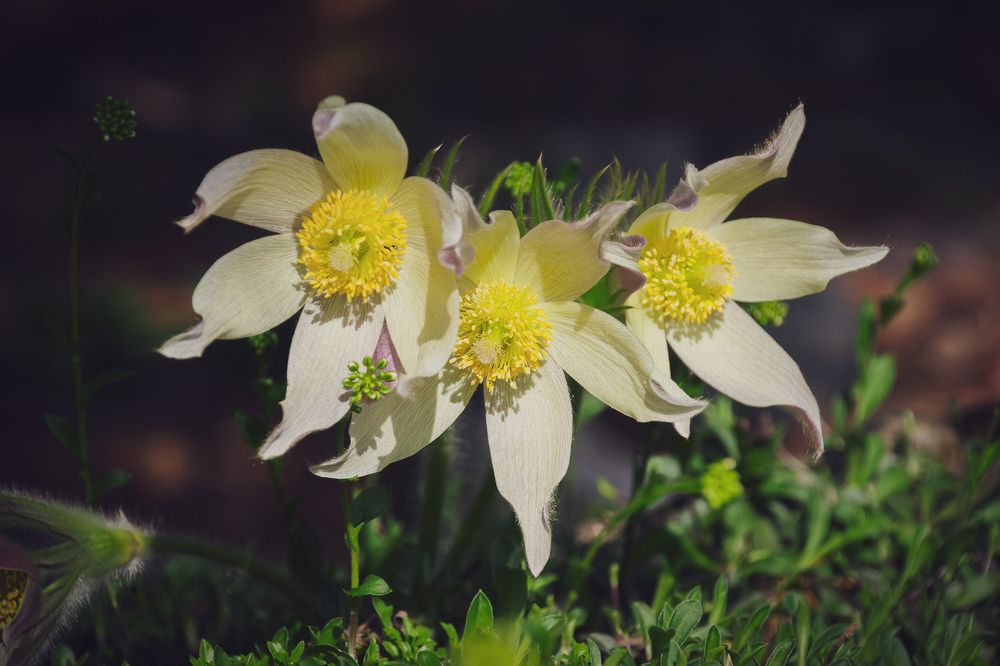 Photograph by Елена Щитова
