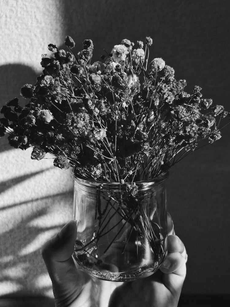 Photograph by Екатерина Балобанова