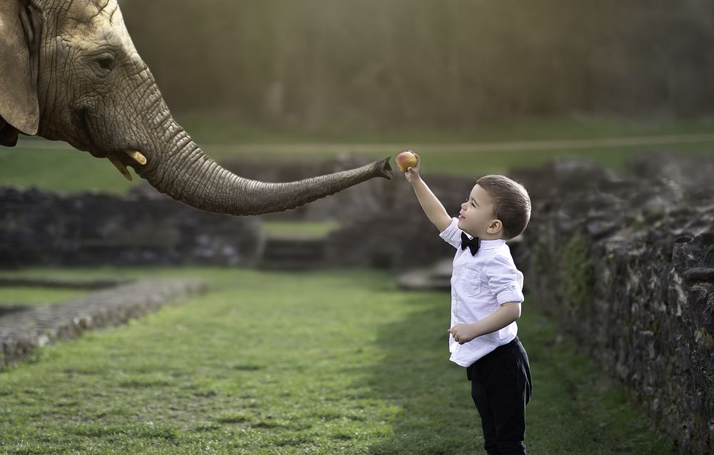 Photograph by Brown Catherine