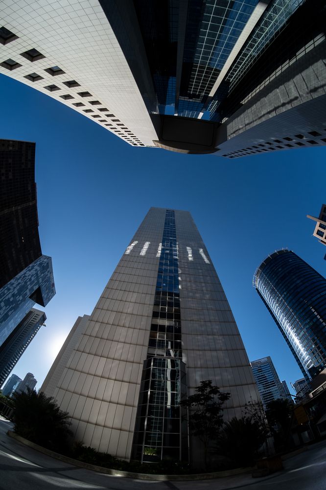 Photograph by Mike Sappojnikoff