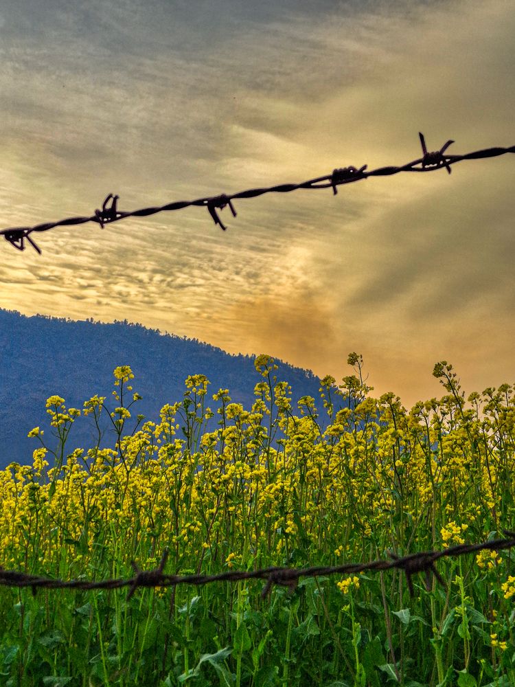 Photograph by Mirza Muneeb
