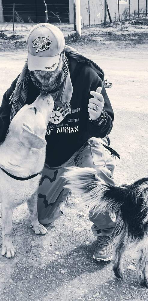 Human and Animal