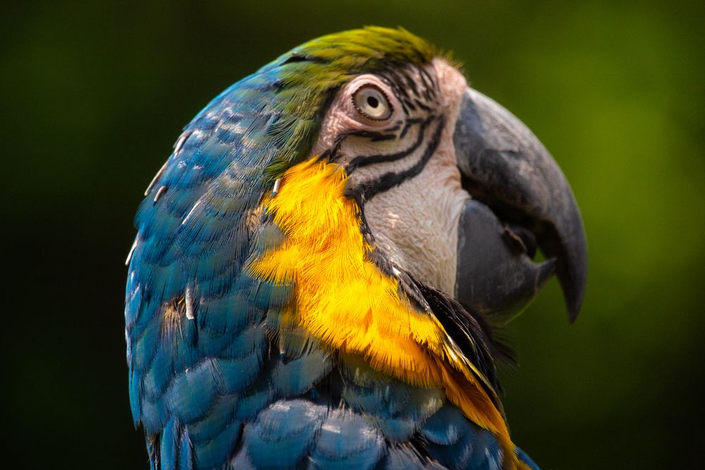 Photograph by Tushar Bhogle